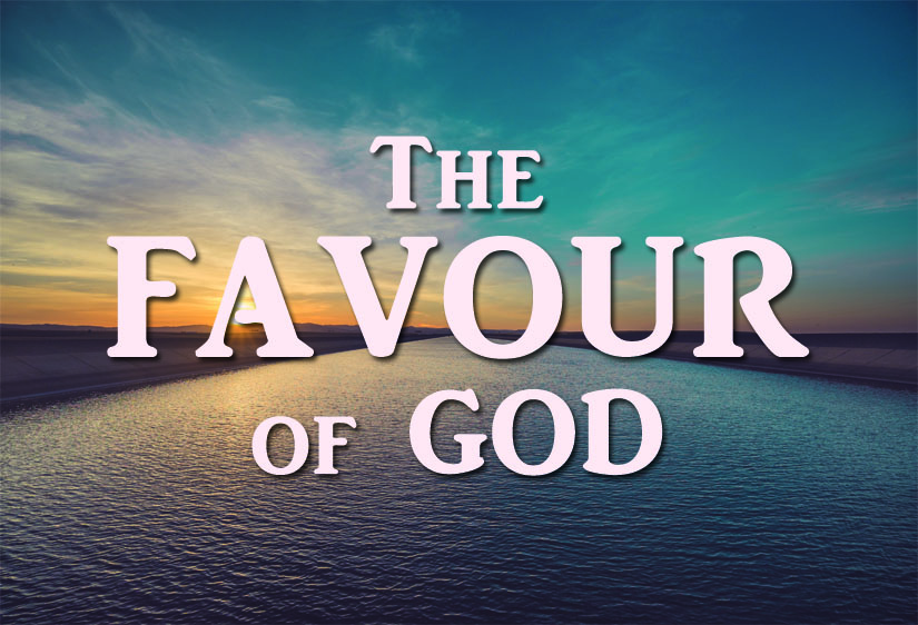 What Meaning Of Favour