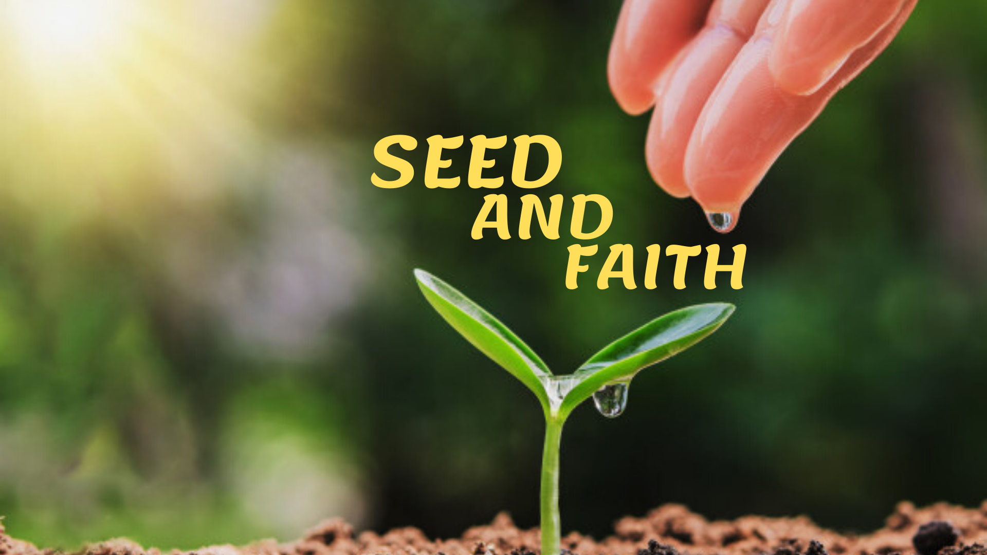 Faith seed