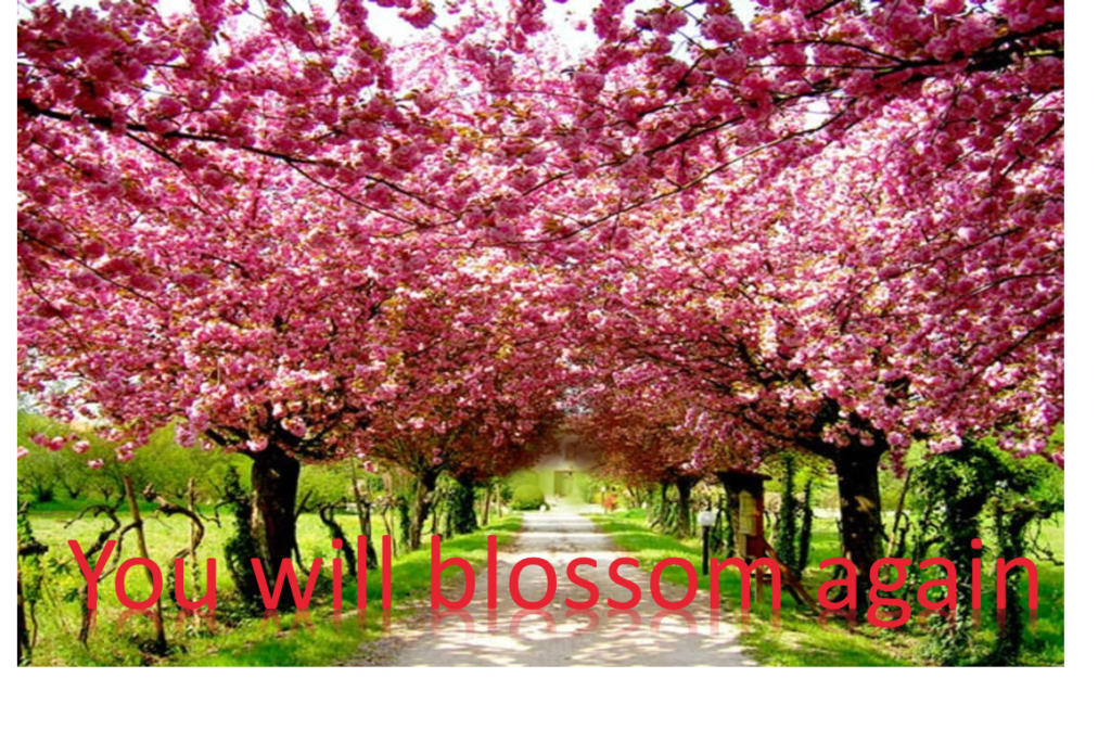 Restoration You Will Blossom Again Pastor Charles Finny restoration-you-will-blossom-again-pastor-charles-finny